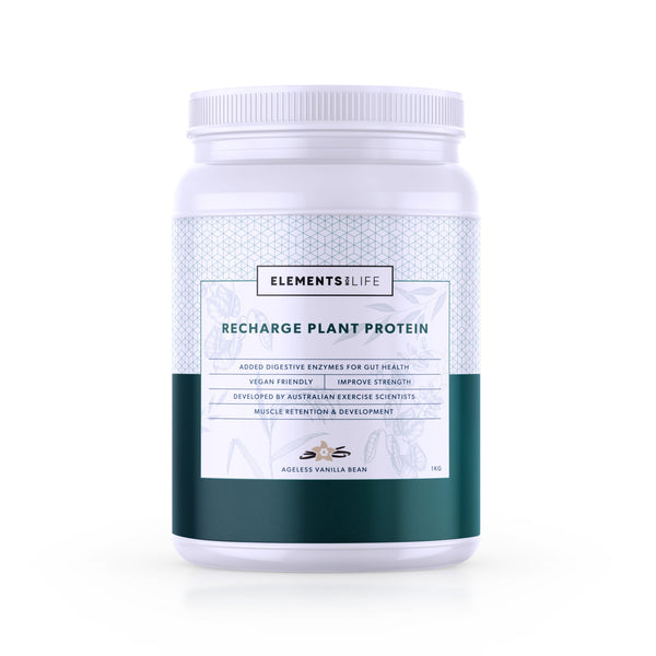 Recharge Plant Protein